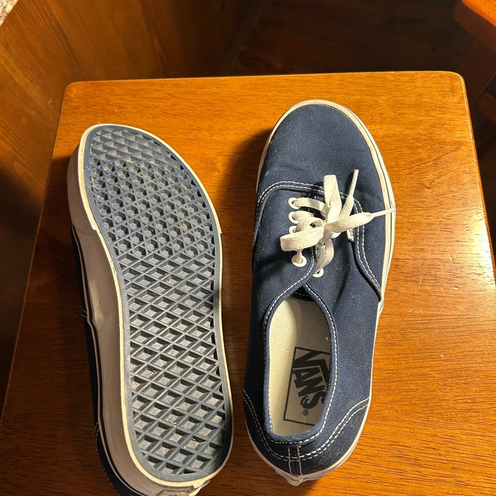 Vans Blue Canvas Sneakers